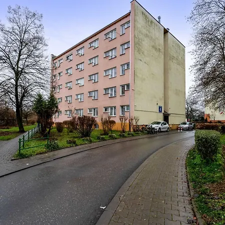 Olsza Standard